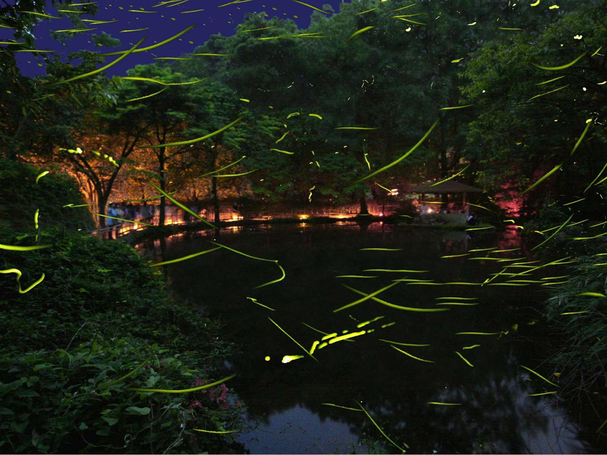 Hotel Izu Katase Onsen Ayumitei Fukumatsuso à Higashiizu Extérieur photo